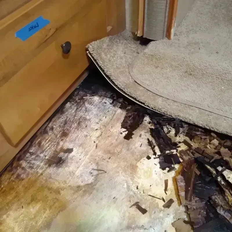 Best Wood Floor Water Damage Service in Bokeelia, FL